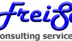 Freisoft Consulting Services, Inc.